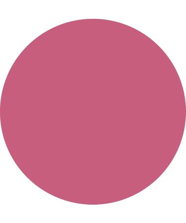  WYCON cosmetics WYCON Cosmetics MATT SYMPHONY Vegan-friendly liquid lipstick with a matte finish shade 05 - Buy Online on GoSupps.com