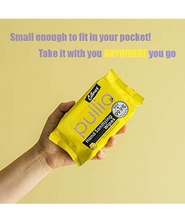 Pullio Hand Sanitizing Wet Wipes | Alcohol-Free & Hypoallergenic Formula | Citrus Peppermint Scent | 4 Packs (20ct) - Clean Hands for Everyone - Buy Online on GoSupps.com