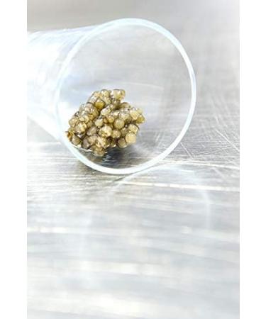 Classic Baerii Caviar 250 gr - Buy Online on GoSupps.com
