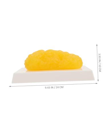 ULTECHNOVO 2pcs Fat Model Plastic Demonstration Device Plastic Anatomical Fat Birthday Headband Body Fat Module - Buy Online on GoSupps.com