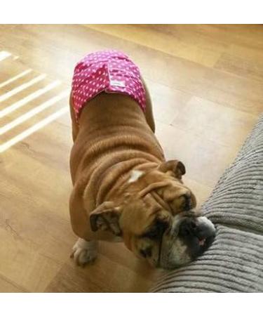 Glenndarcy Dog Diapers - No Tail Hole for French Bulldogs | Black Pink Dots | Medium | Includes 2 Washable Pads - Buy Online on GoSupps.com