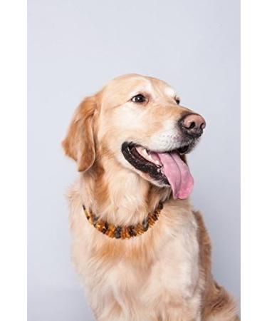 100% Baltic Amber Dog & Cat Chains | Natural Tick Protection Collar - Ilikeamber.com - Buy Online on GoSupps.com