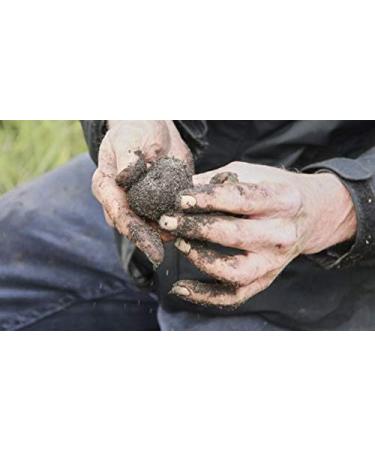 Black truffle salt Sea salt with truffles Truffle Flavoured Gourmet salt Black truffle condiment seasoning with truffle Sale con Tartufo 5 x 60g glass jars - Buy Online on GoSupps.com