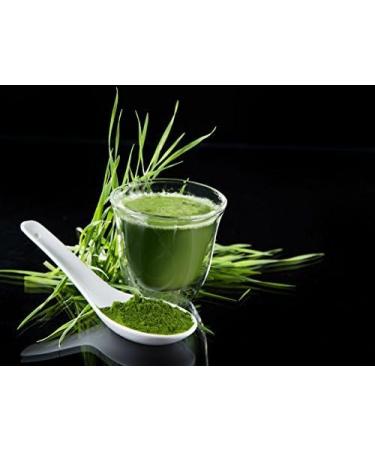 Hion Green Powder Ultimate Blend - UK's #1 Super Greens Powder | No Fillers | Industry Leading Superfood - Buy Online on GoSupps.com