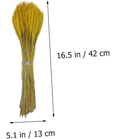Artibetter 1 Decor Dried Wheat Natural Wheat Dried Flowers Simulation Wheat Rural Wheat Ears of Wheat Flower Basket Golden 15*42cm - Buy Online on GoSupps.com