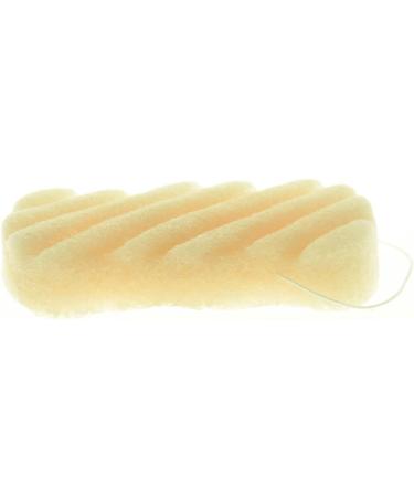 Angoily Eyebrow Trimming Kit Body Sponge Natural Sponges Sponge Hair Clips for Thin Hair Bathing Sponge Sponges for Body Facial Sponge Face Wash Cleaning Supplies Cleansing - Buy Online on GoSupps.com