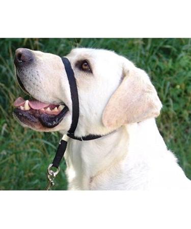 PABA Gentle Leader Ultimate Head Collar with Soft Touch Webbing Black 28-59kg (Large) - Buy Online on GoSupps.com