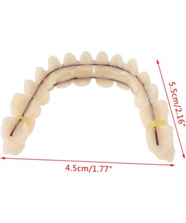 Premium Resin Dentures - Upper & Lower Preformed Teeth Molds for Optimal Oral Care - Buy Online on GoSupps.com