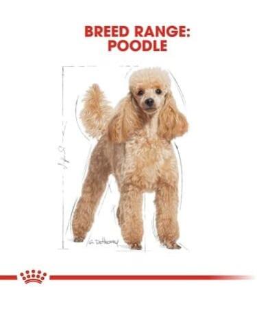 Royal Canin Poodle Adult Dog Food 1.5kg (Pack of 2) Poultry 1.5 kg (Pack of 2) - Buy Online on GoSupps.com