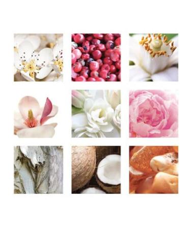 Badgley Mischka Eau de Parfum 3.4 Ounce (Pack of 1) - Buy Online on GoSupps.com