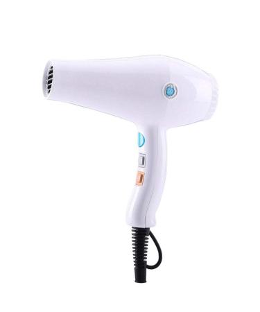ADITAM Hair Dryer Negative Ionic Fast Dry Low Noise Blow Dryer Professional Salon Hair Dryers with Diffuser Concentrator Hand Held Powerful Performance Styling Tool with/White Double The Comfort