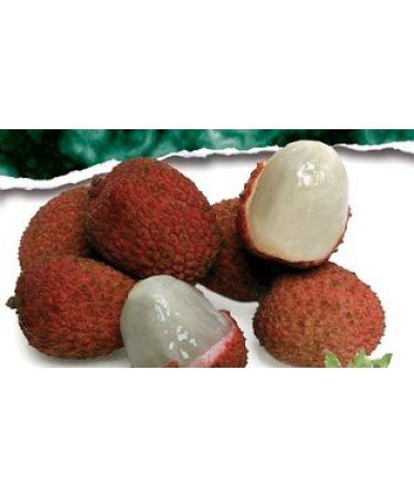 Melissa's Fresh Lychees, (2 lb)