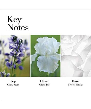 Elizabeth Arden White Tea Pure Indulgence Bath & Shower Gel 13.5 oz - Luxurious Women's Shower Gel for Hydration & Relaxation - Buy Online on GoSupps.com