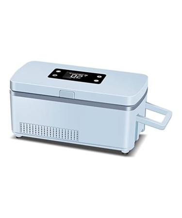 Lizusidtsy Insulin Cooler Case with Battery Adjustable Temperature Suitable for Long Flight US Plug