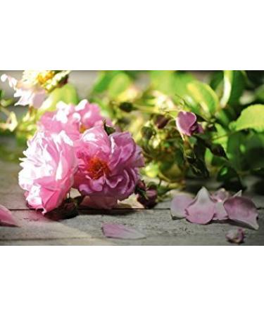 Buy Natural Hand Cream with Rose Water & Oil | Moisturizing 50ml - Silicone Oil & Vitamin F - Buy Online on GoSupps.com