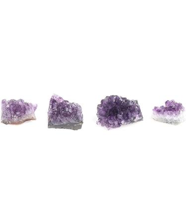 for 1PC 10-50g Natural Amethyst Cluster Quartz Crystal Stones Gift Rough Home Decor Reiki Polished Crafts Crystal Cluster (Color : 10-20g) - Buy Online on GoSupps.com