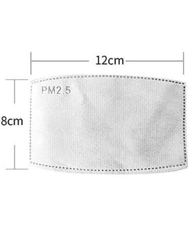 100 Pcs Adult PM 2.5 Activated Carbon Filter Insert - 5 Layers Anti Haze Mask Filter Paper (100 Pack) - Buy Online on GoSupps.com