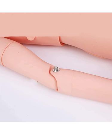 Full Body PVC Patient Care Manikin CPR Simulator Geriatric Human Model with 24 Item Basic Geri Nursing Skills for Students Education Teaching Medical Training Female 5.5ft Life Size - Buy Online on GoSupps.com