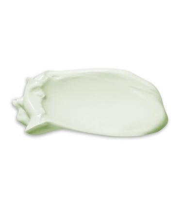 Earth To Skin Super Greens Nourishing Eye Cream - 0.75 Fl Oz - Buy Online on GoSupps.com