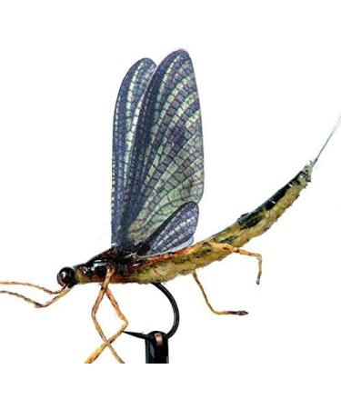 Hemingway's Realistic May Fly Wings Set - Gray | High-Quality Fly Tying Materials - Buy Online on GoSupps.com