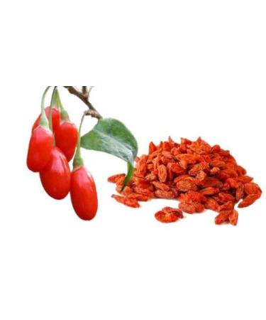 100 Goji Berry SEEDS 2018 All NonGMO Heirloom Vegetable Seeds