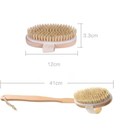 Dry Body Brush with Long Handle - Exfoliating Bath Brush for Shower with Natural Bristles - Remove Dead Skin and Cellulite - Buy Online on GoSupps.com