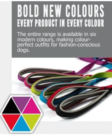 Ancol Viva Purple Padded Harness - Size Small (36-42cm) - Buy Online on GoSupps.com