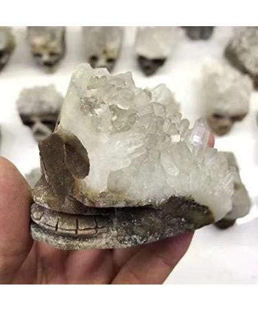 1pc Natural Clear White Quartz raw Crystal Cluster Stone Carved Skulls Obelisk - Buy Online on GoSupps.com