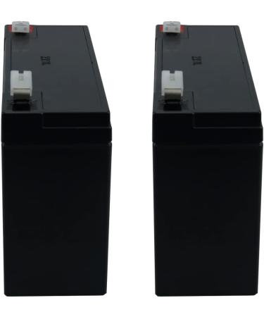 PowerStar 2 Pack 6V 10AH SLA Battery RBC52 for Tripplite | 2 Year Warranty | International Shipping Available - Buy Online on GoSupps.com