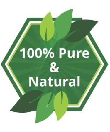 Crysalis Mango Seed (Mangifera Indica) |100% Pure & Natural Undiluted Carrier Oil |Cold Pressed Seed Oil for Glowing Skin Healthy Hair Nourished Face Mango Seed 100 ml (Pack of 1) - Buy Online on GoSupps.com