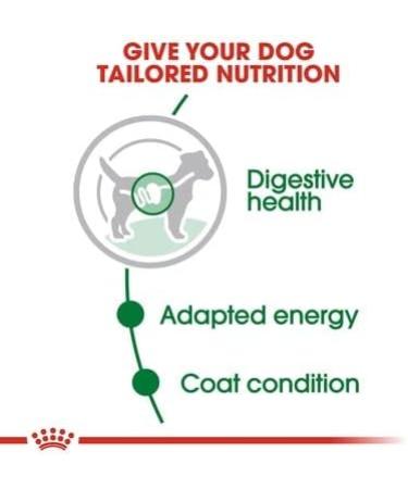 Royal Canin Mini Adult Wet Food Pouches 85g (Pack of 48) Meat 4.08 kg (Pack of 1) - Buy Online on GoSupps.com