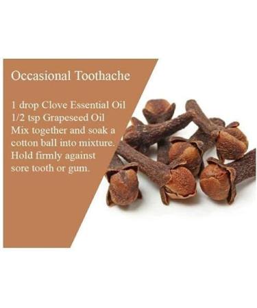 Clove Oil (Syzygium aromaticum) 100% Pure & Natural Undiluted Uncut Essential Premium Aromatherapy Oil - 15ml Clove 15 ml (Pack of 1) - Buy Online on GoSupps.com