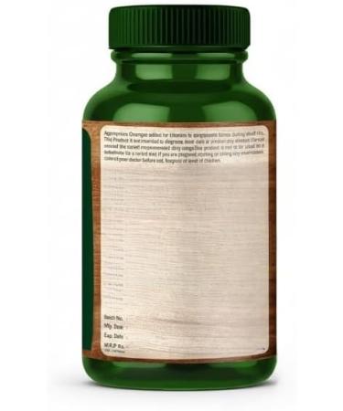 Plant Based Iron with Ferrous Fumarate Vitamin C Spinach & Beet Root Enriched with Natural Sources of Iron 60 Capsules - Buy Online on GoSupps.com