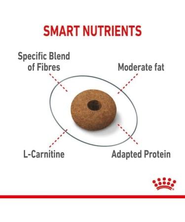 ROYAL CANIN Appetite Control Care | Pack of 3 | 3 x 400 g | Dry Food for Adult Cats | Recommended to Control Begging Behavior | Also for Castrated Cats - Buy Online on GoSupps.com