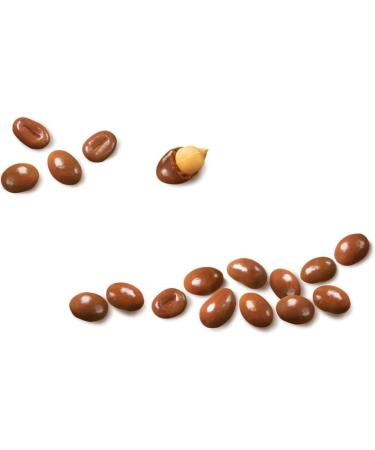 GLOSETTE Peanuts Chocolate Covered Candy Holiday Candy Chocolate Candy for Sharing Perfect for Movies 45g (Box of 18) - Buy Online on GoSupps.com