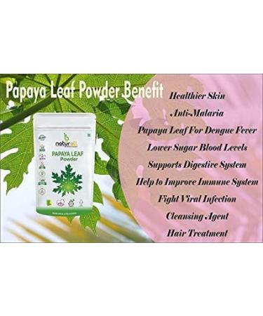 SHN Pack of 3 Tulsi Powder Papaya Leaf Powder Guava Leaf Powder (200 GM Each) Combo Pack 600 GM By B Naturall - Buy Online on GoSupps.com