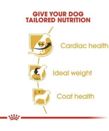 Royal Canin Cavalier King Charles Adult Dry Dog Food 7.5kg - Buy Online on GoSupps.com