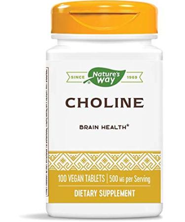 Nature's Way Choline, 500 mg, 100 Tablets, Pack of 2