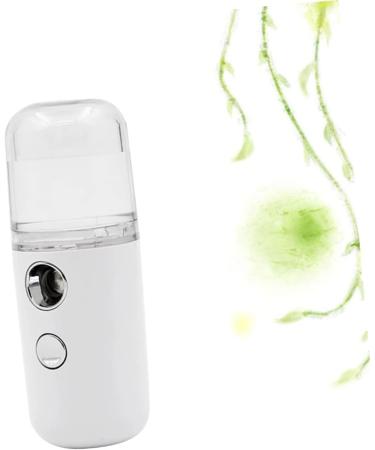 BELLIFFY 1pc Mini Humidifier Nano Mist Sprayer Skin Care Tools Nano Facial Mister Portable Humidifer White - Buy Online on GoSupps.com