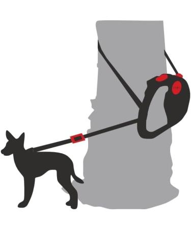 Dogxi 5m Retractable Dog Leash for Small & Medium Dogs - Adjustable Black Belt with Carabiner Perfect for Car Use - 25kg Capacity - Buy Online on GoSupps.com