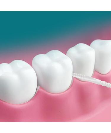 AOYEAH 200pcs Double Headed Toothpicks - Household Plastic Toothpicks for Easy Grabbing & Cleaning - Green Bypass Bottle | International Shipping Available - Buy Online on GoSupps.com