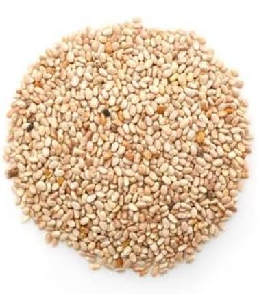 Yupik Raw White Chia Seeds 1 kg Gluten-Free Kosher Vegan Natural Seeds Plant-Based Superfood Rich in Fiber Source of Omega-3 Ideal for Chia Pudding & Smoothies Gels Easily Chia Seeds 1 kg - Buy Online on GoSupps.com