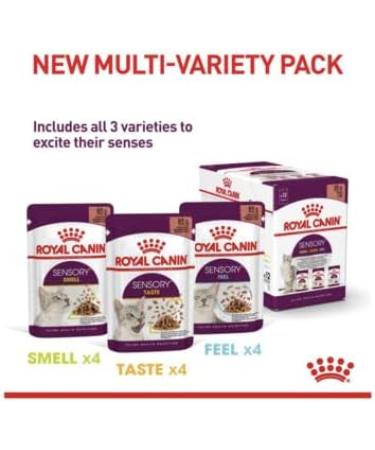 Royal Canin Sensory Smell in Jelly Wet Cat Food 85g (Pack of 48) - Buy Online on GoSupps.com