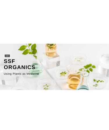 Organic Natural Eyebrow and Eyelash Re-Growth Wax with Castor Oil for Hair Thickening and Growth - Great Brow Wax Primer - Buy Online on GoSupps.com