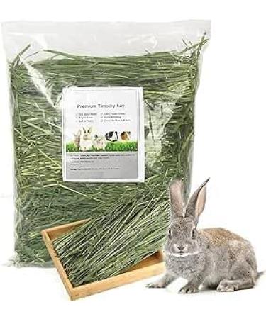 MK Home Textile Timothy Rabbit Hay - Fresh Feeding Hay for Rabbits & Guinea Pigs Green Dust-Free Long-Stem Sun-Dried Feeding Hay 100% Natural Food (1 KG) - Buy Online on GoSupps.com