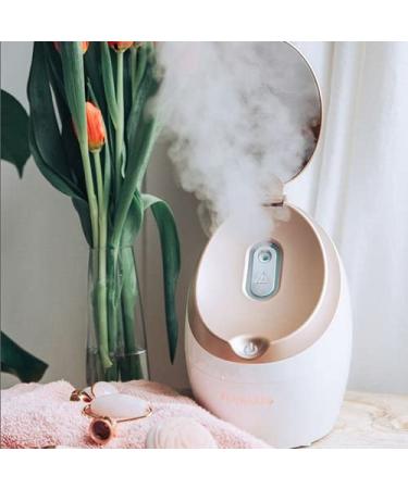 Finishing Touch Flawless Face Steamer: Refresh and Rejuvenate Your Skin - Buy Online on GoSupps.com