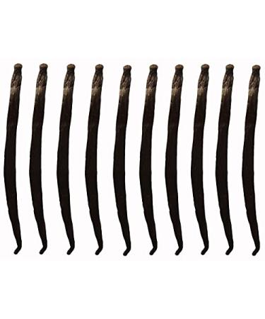 Fresh Vanilla Pods - 10 Gourmet Vanilla Pods 10 to 14 cm tahitensis