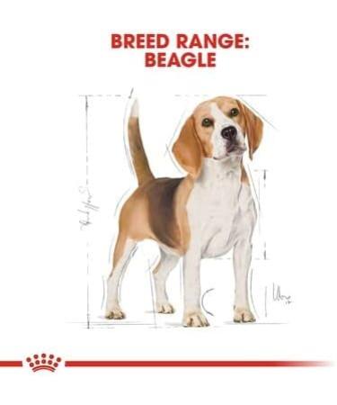 Royal Canin Beagle Adult Dry Dog Food 12kg - Buy Online on GoSupps.com