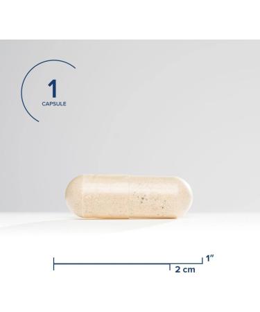 Seeking Health Multivitamin One MF - Methyl-Free B12 & Folinic Acid - MTHFR Support - 45 Vegetarian Capsules - Buy Online on GoSupps.com