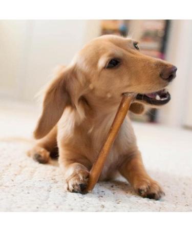 Eva & Wall-e Bully Sticks for Dogs 6" Dog Chew 100g Chews Beef Pizzle Each Package Contains 4 Sticks of 100 gr. 6 Packs of 24 Sticks in Total - Buy Online on GoSupps.com